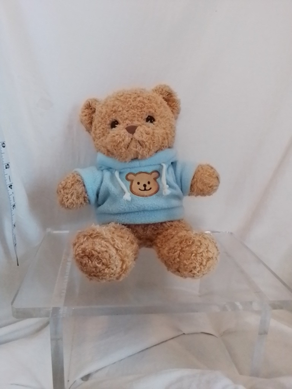 Source Unknown Brown Teddy Bear Plush with Light Blue Hoodie